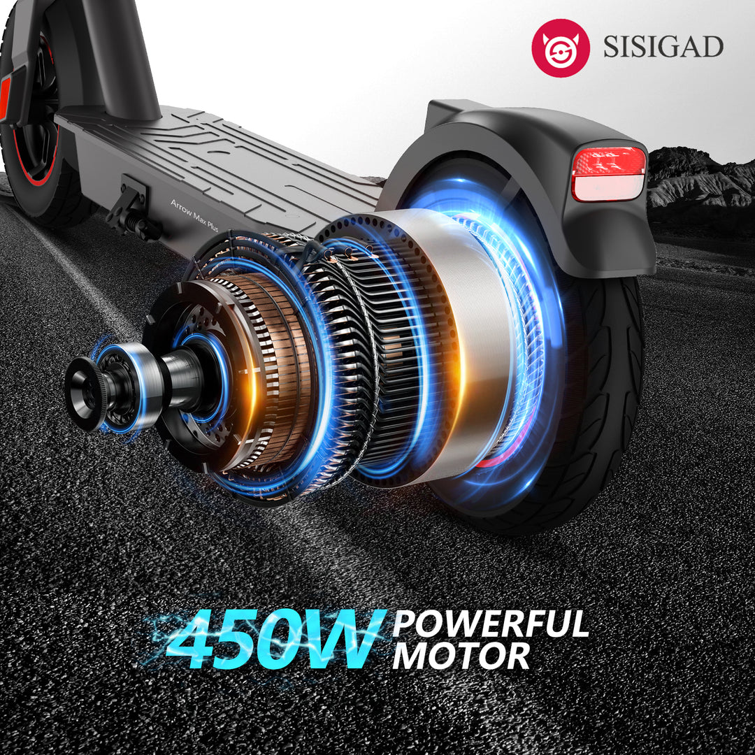 HY-B19 Arrow Max Plus - SISIGAD