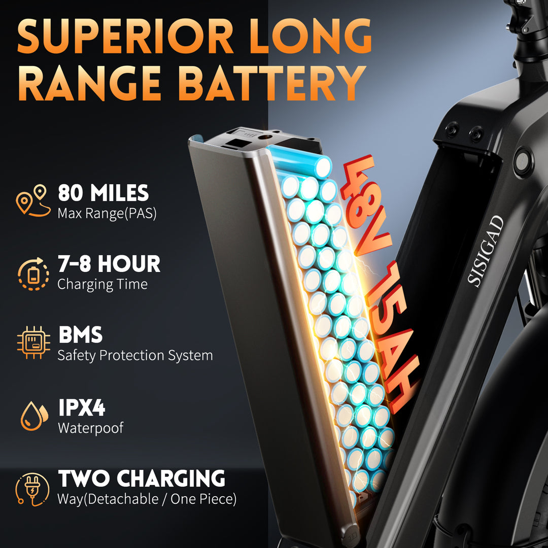 20'' Champ Ext Fat Tire Cargo E-Bike - SISIGAD